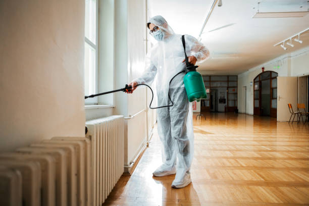 Real Estate Pest Inspections in Pamplico, SC